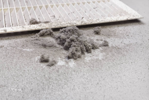 Best Commercial HVAC Duct Cleaning  in Troy, AL